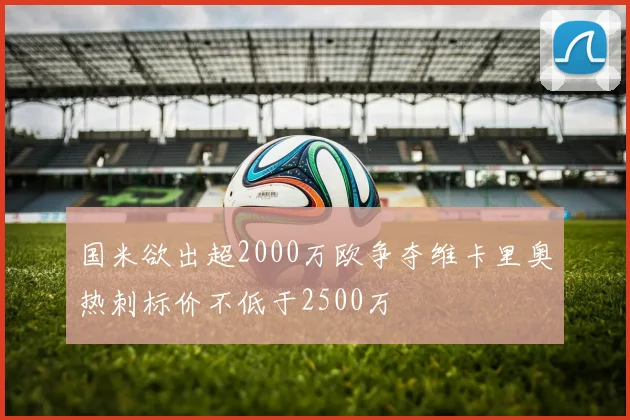 国米欲出超2000万欧争夺维卡里奥热刺标价不低于2500万