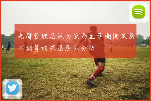 老鹰管理层认为交易里萨谢换浓眉不划算的深层原因分析